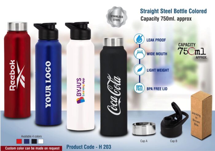 Straight steel bottle Colored | Capacity 750ml approx